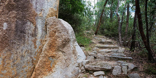 Lunch and Bushwalk