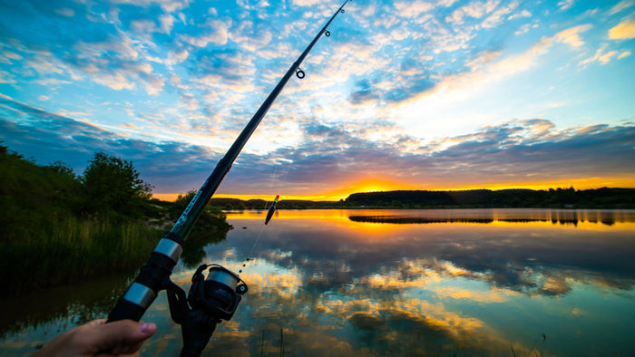 Fishing – Shire