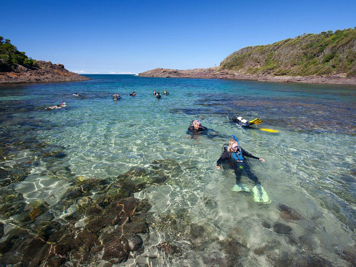 Takeaway Picnic and Snorkelling at Bushrangers Bay – Illawarra
