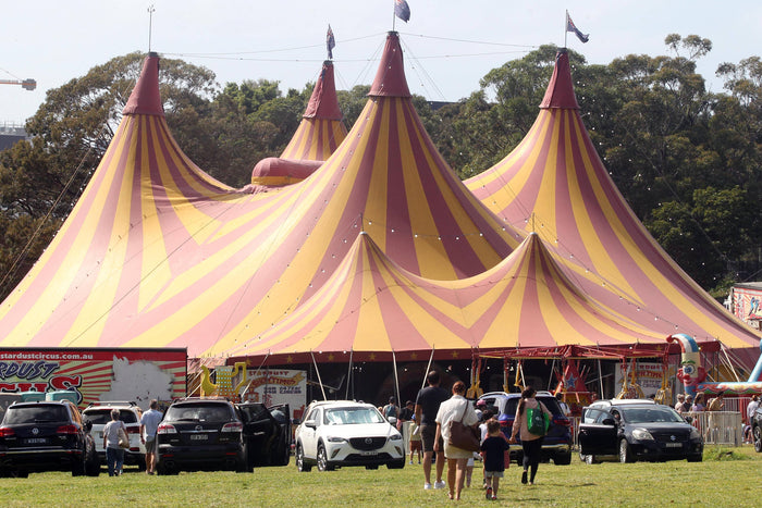 Stardust Circus – Shire