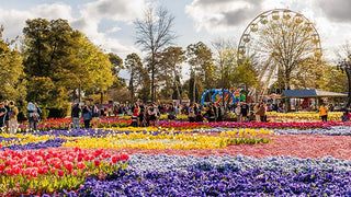 Day Out at Floriade! – Canberra