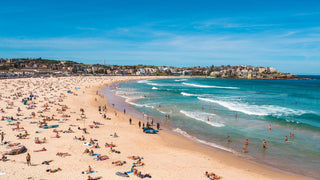 BBQ Beach Day – Illawarra