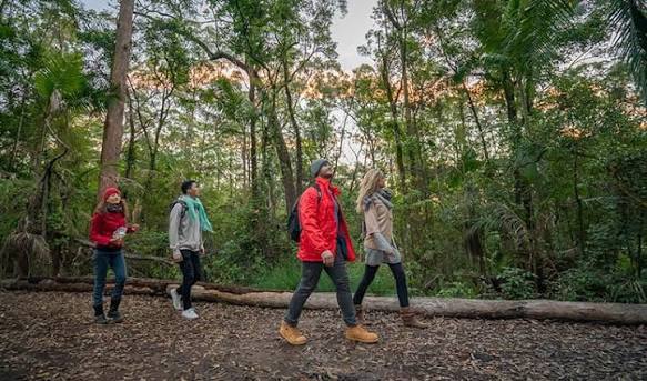 Bushwalk & Brunch – Illawarra