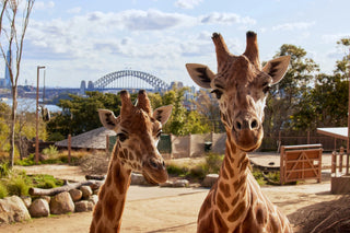 Taronga Zoo – East