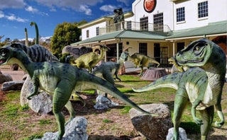 Day out at Gold Creek! – Canberra