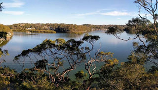 Como to Oatley Walk – Shire