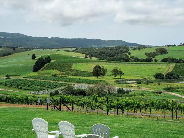 Crooked River Winery - Drinks & Live Music – Shire