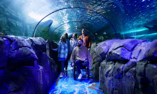 Sea Life Aquarium – Shire