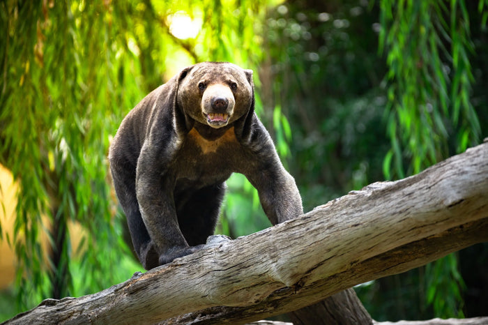 Zoo Day! – Canberra